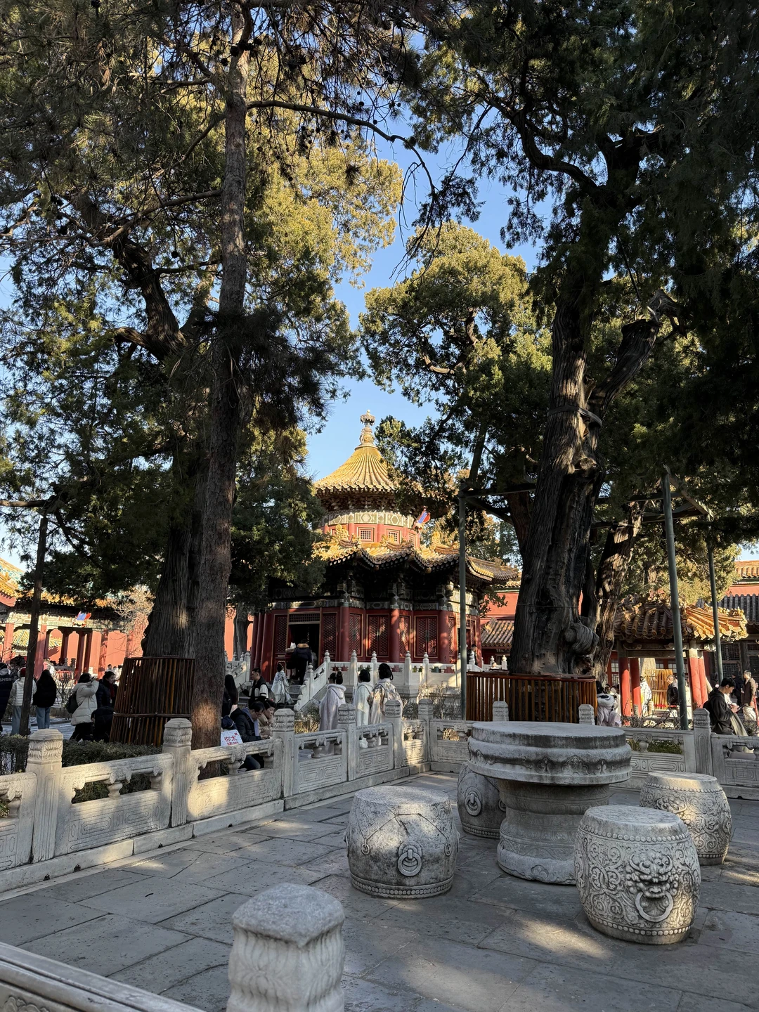 Пора в Пекин! Запретный город и чайная церемония (Анна)