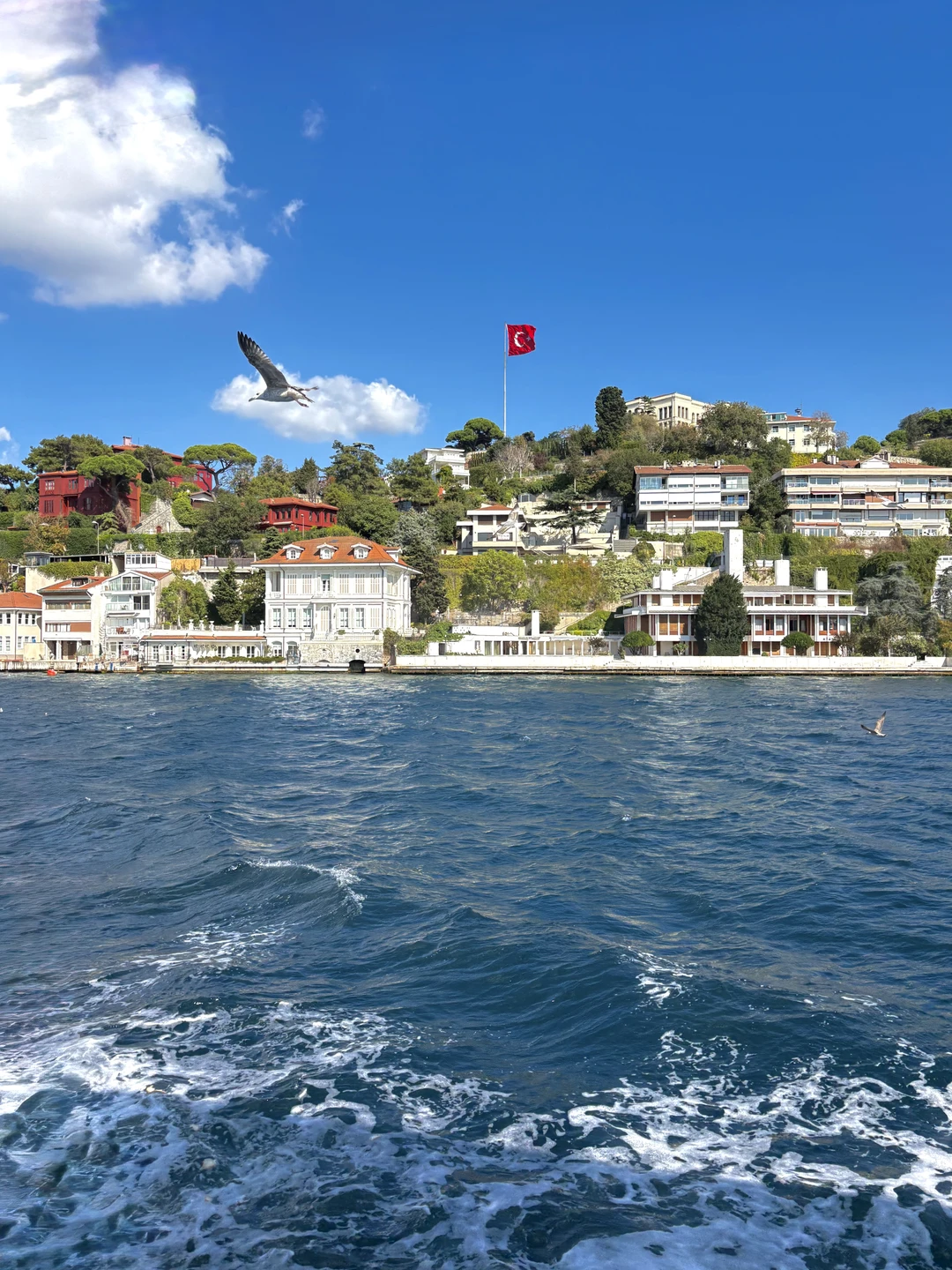 Ребят, этот тур стал одним из самых запоминающихся дней не только в моей поездке, но и