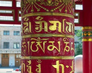 Любуемся тюльпанами и наблюдаем за птицами, "Одинокий тополь", "Золотая обитель Будды Шакьямуни", прогулка по Элисте