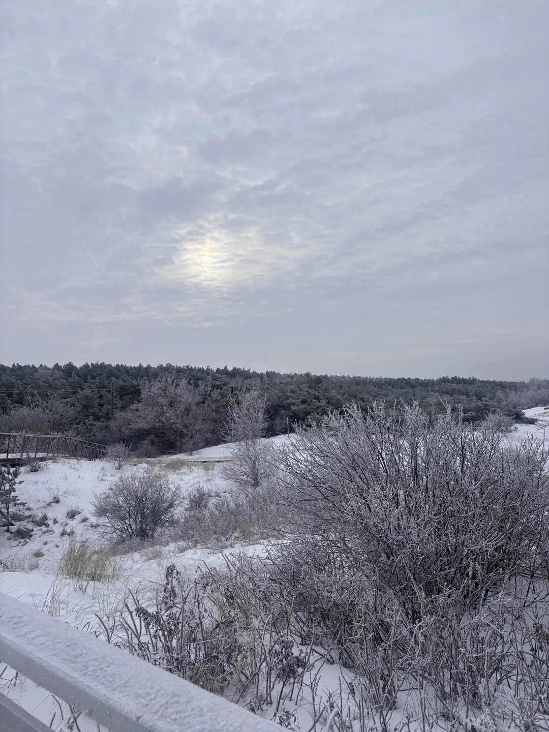 Очень красивая экскурсия 😻 Много интересного! И вкусного))