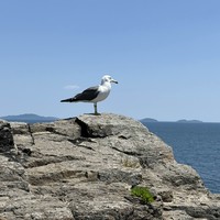 Фото отзыва 1: экскурсия "Полуостров Брюса + Кравцовские водопады + «Земля леопарда» + китайская кухня"