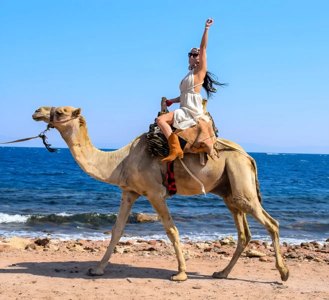 Золотой Дахаб за 1 день - из Шарм-эль-Шейха