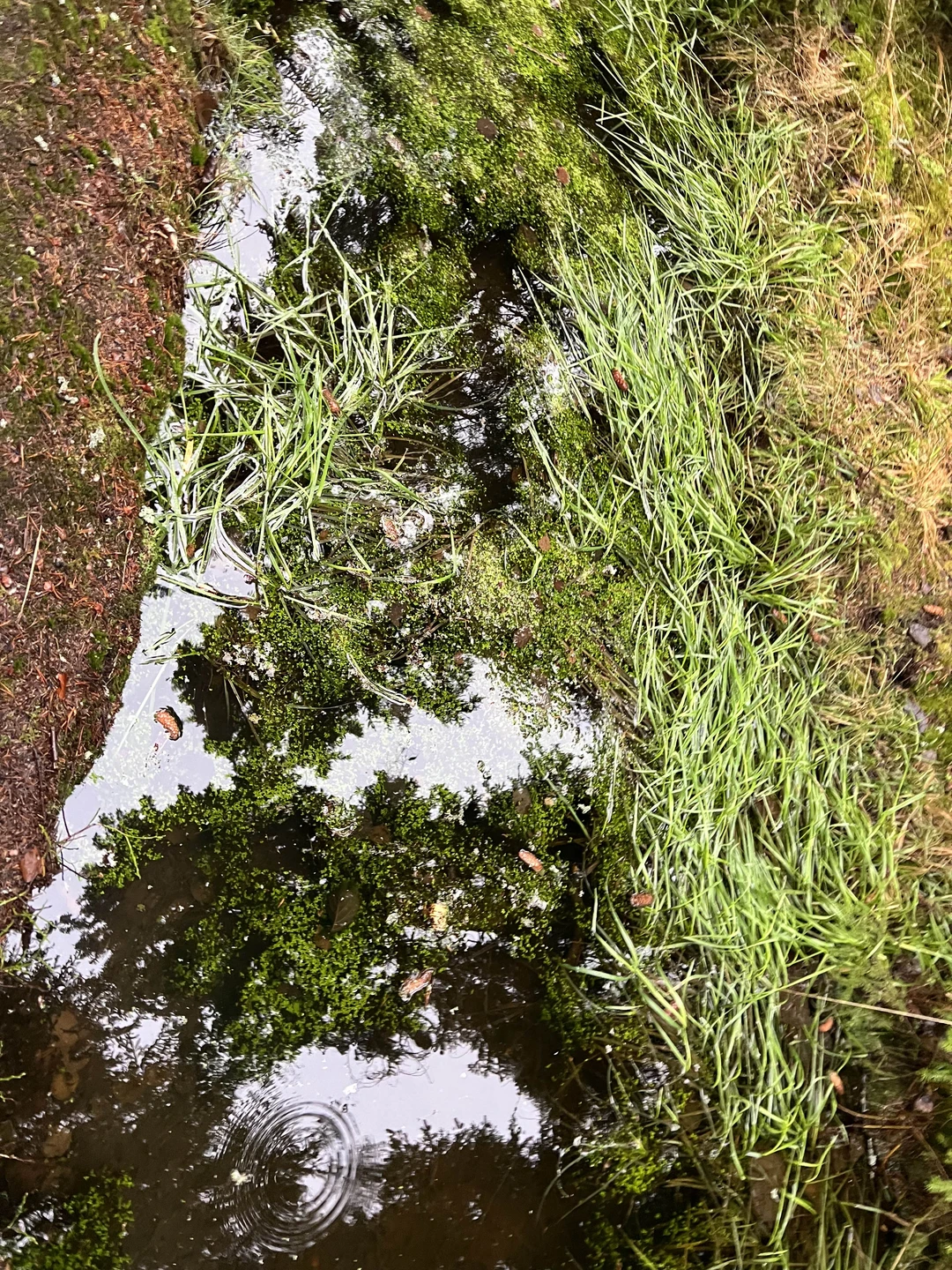 Уютно погуляли по парку, после дороги из Москвы самое то чтобы растормошить себя немного