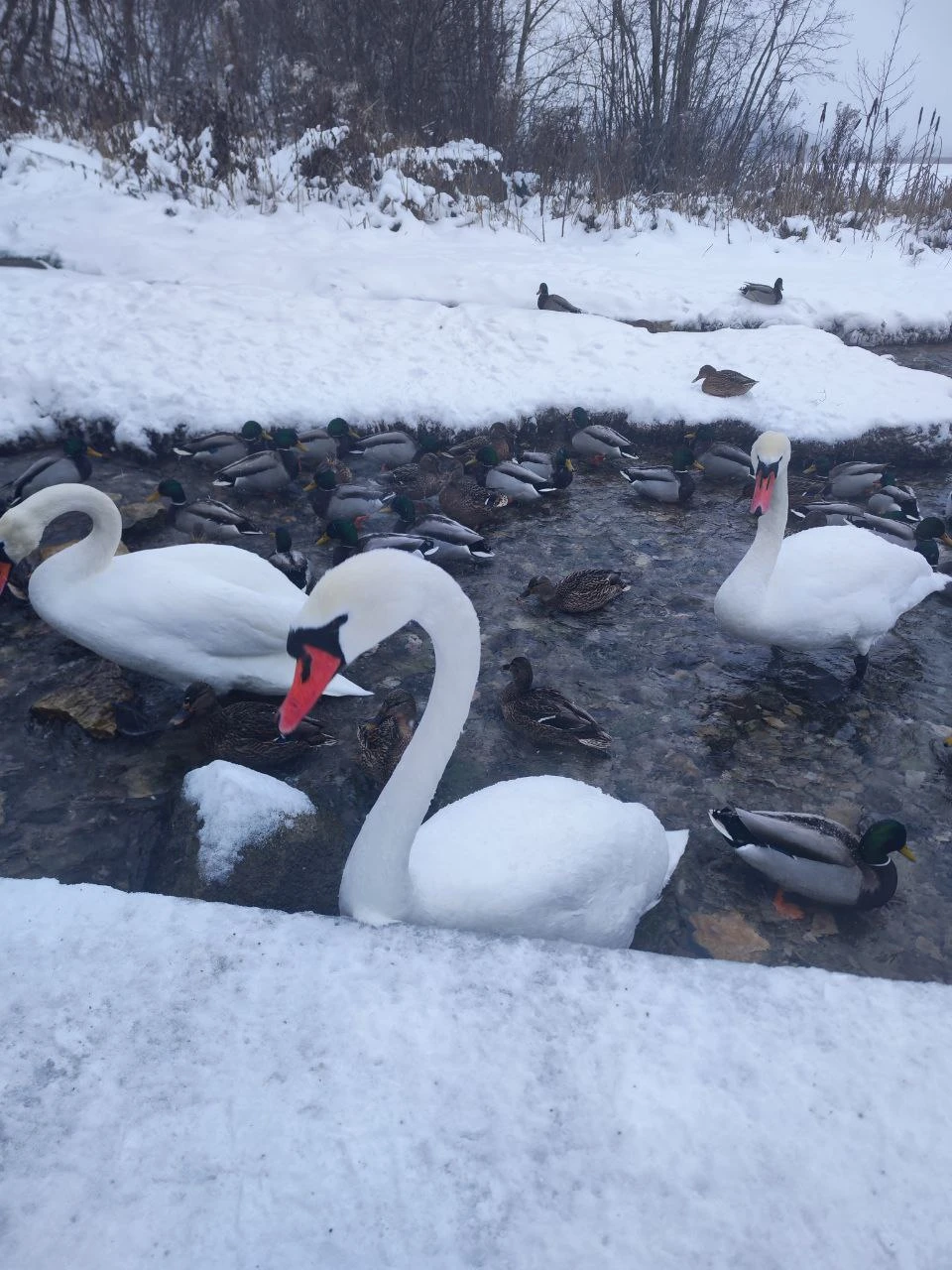 Прекрасная экскурсия. Все было очень интересно, в комфортном темпе. Небольшая группа. Повезло с погодой. Большое спасибо