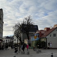 Фото отзыва 2: экскурсия "Янтарный и Светлогорск"