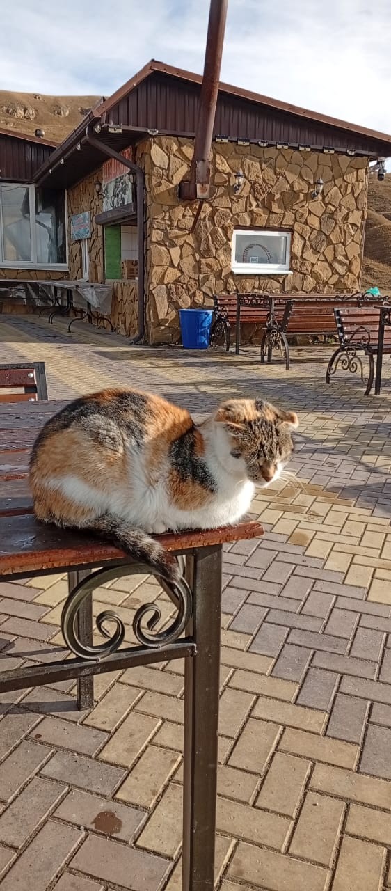 Сердце гор: из Пятигорска - в Домбай (.)