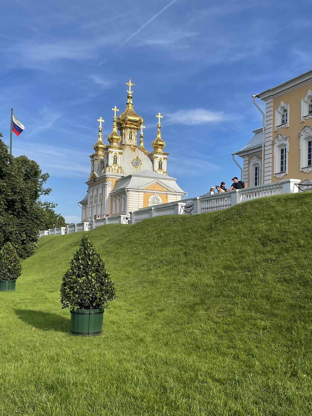 Петергоф от А до Я: метеор, Нижний парк и экскурсия в Большой дворец (билеты включены) (Инна)