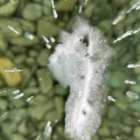 Фото отзыва 1: экскурсия "Зимний Ольхон: чистый лёд, пузырьки и гроты"