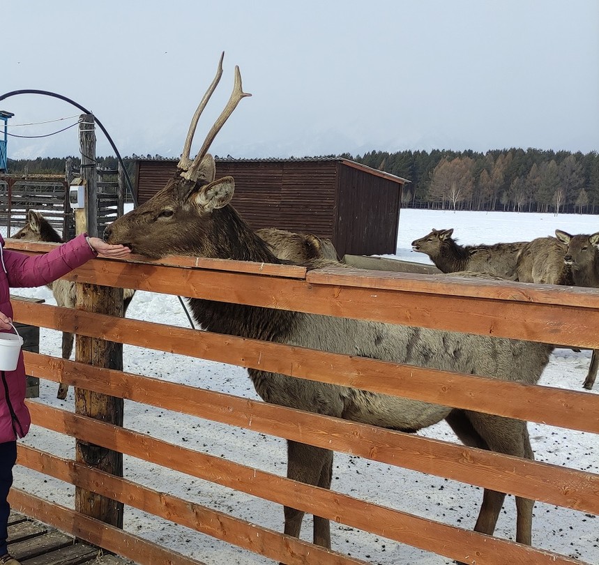 Прекрасная экскурсия. Очень профессиональный экскурсовод-водитель Илья. Получили массу информации об истории края, этнографии, культуре малых народов