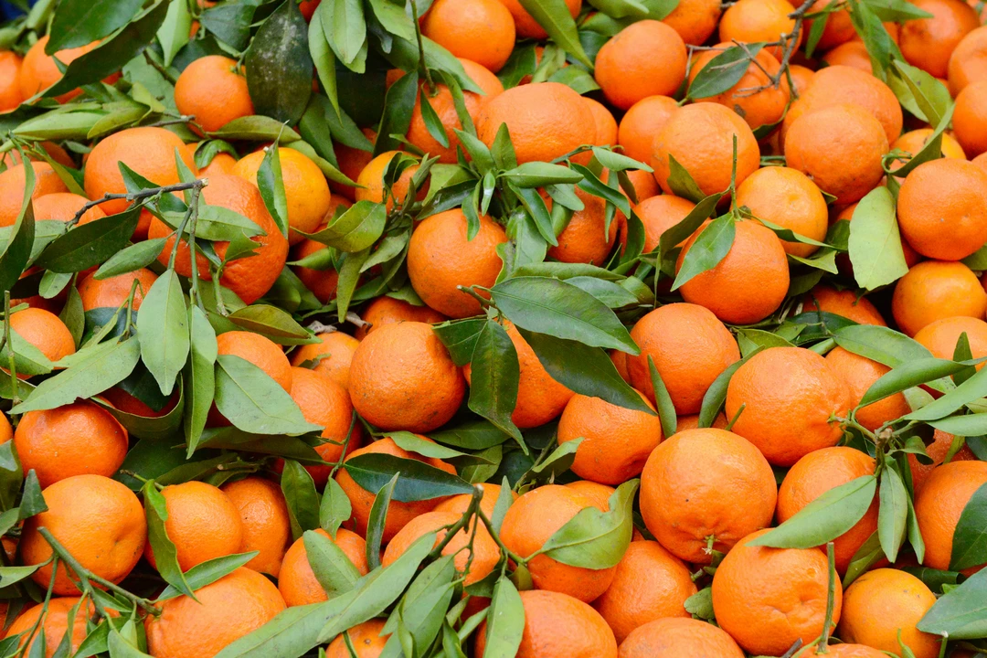 Эта необычная Касабланка (Марина)