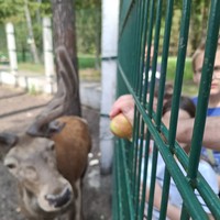 Фото отзыва 4: экскурсия "Красота Брестской земли: Беловежская пуща и не только за 2 дня"