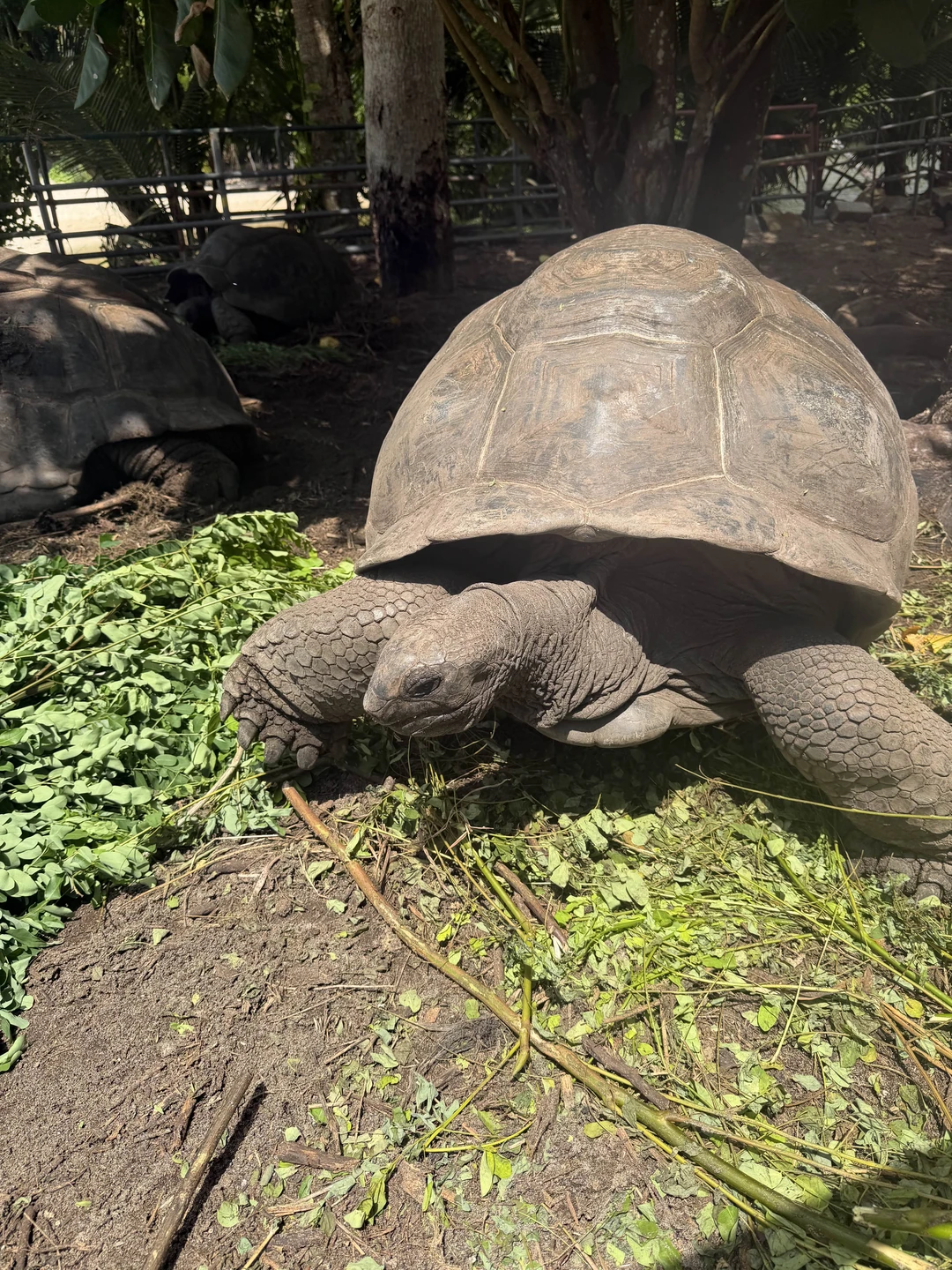 Очень здорово!