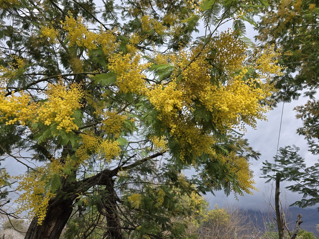 Наше путешествие началось в 9.00 утра по МСК и завершилось примерно в 17.30 по МСК. За