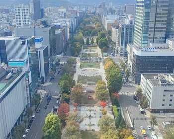 Прибытие в Саппоро, прогулка по улице Танукикодзи