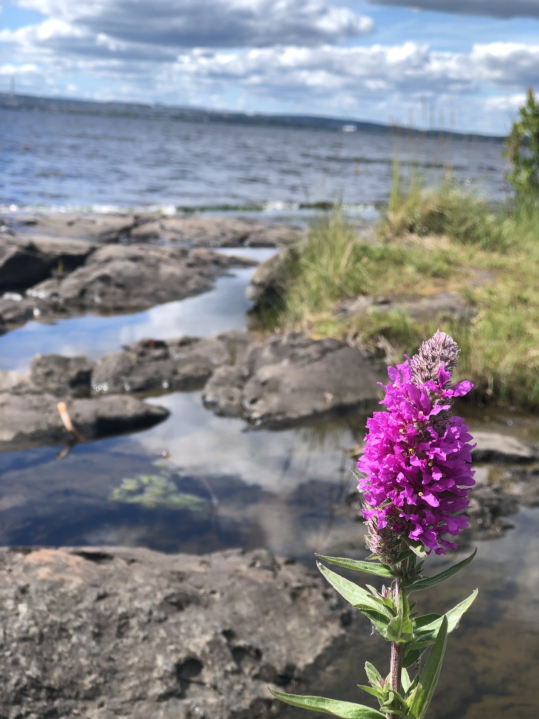 Урочище «Чертов стул»: в гостях у мистической Карелии (Полина)