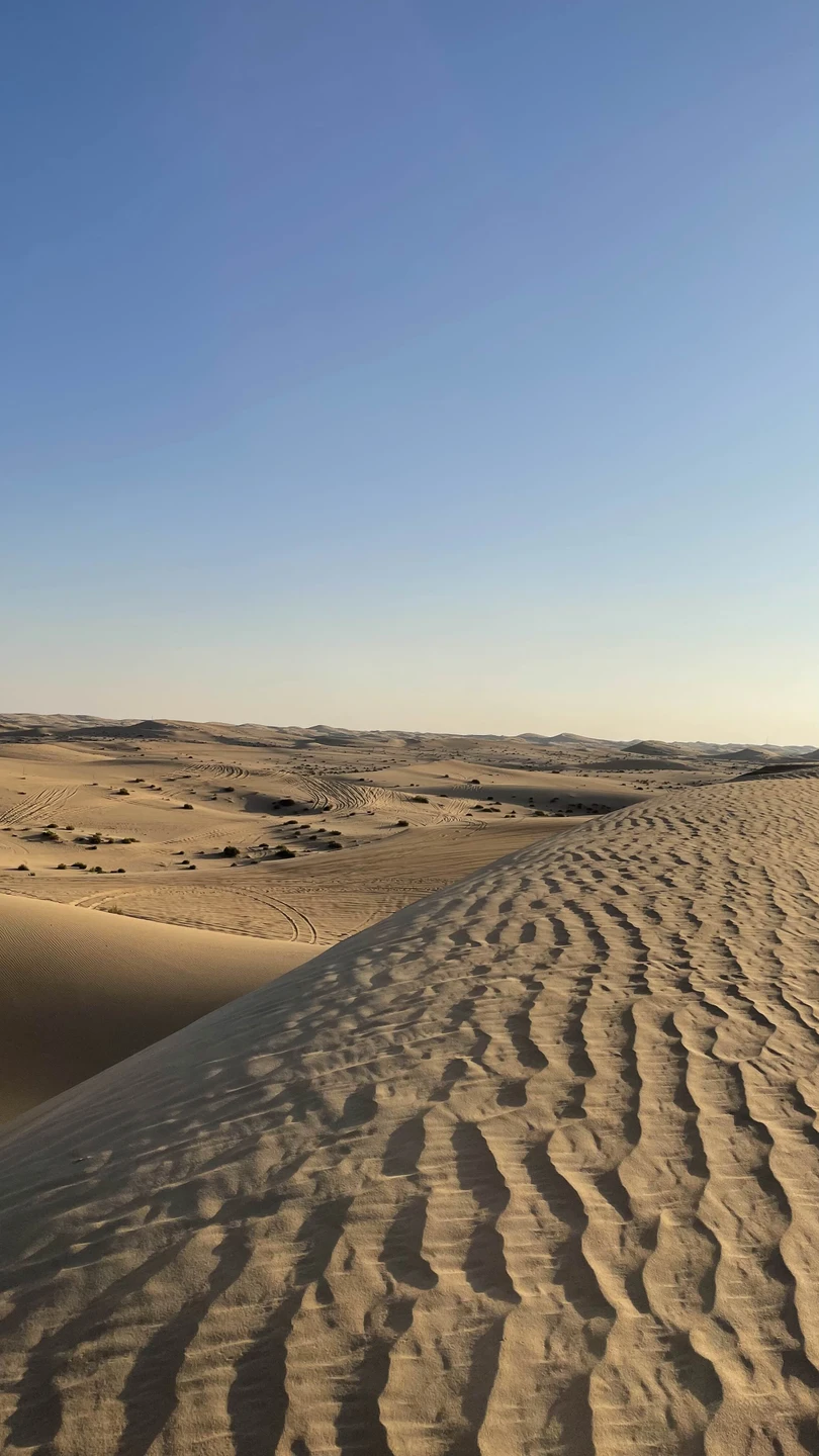 Получили огромное удовольствие и кучу положительных эмоций. Великолепная по насыщенности программа. Пейзажи пустыни не оставят равнодушными