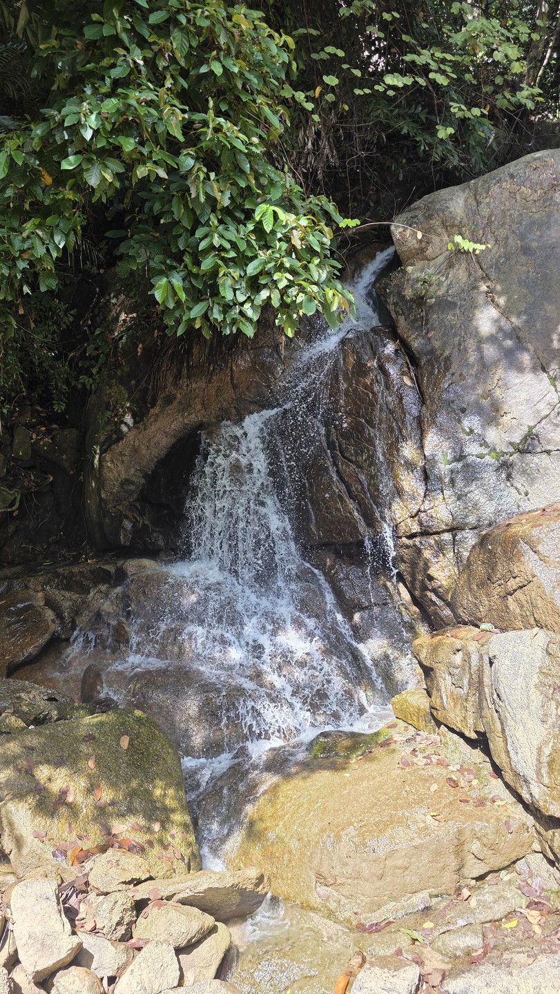 Очень понравилась прогулка к водопаду Кату, пешеходный маршрут начинается недалеко от Камала и идёт через джунгли,