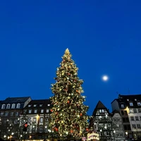 Фото отзыва 1: экскурсия "Волшебное Рождество в Страсбурге"