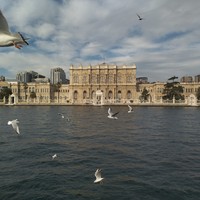 Фото отзыва 3: экскурсия "Нетривиальный Стамбул: Босфор, Кадыкёй и Долмабахче"