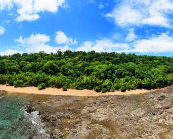 День трансфера