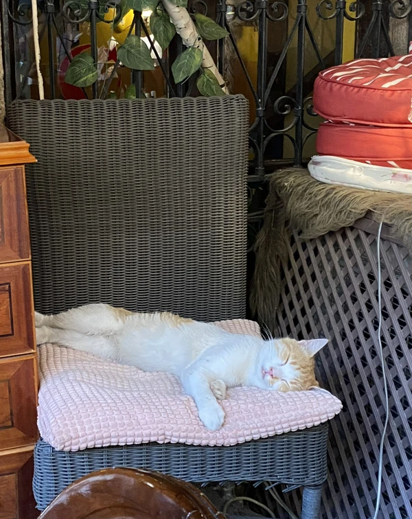 Открывая Анталью: вчитаться в город и влюбиться в детали