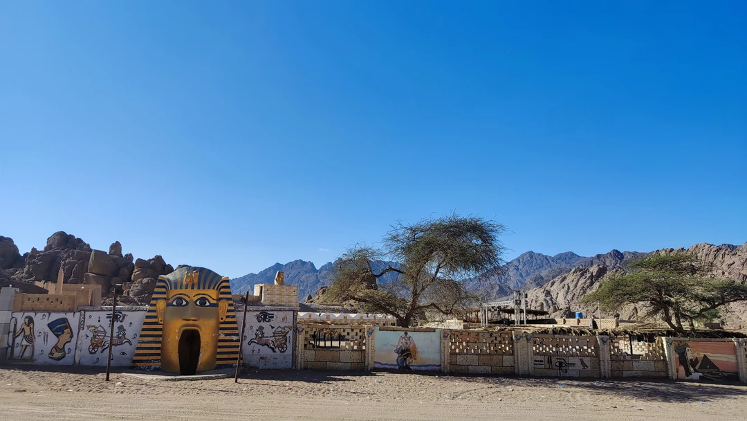 Отличная поездка. Хороший маршрут. Квадроциклы лёгкие, маневренные и безопасные