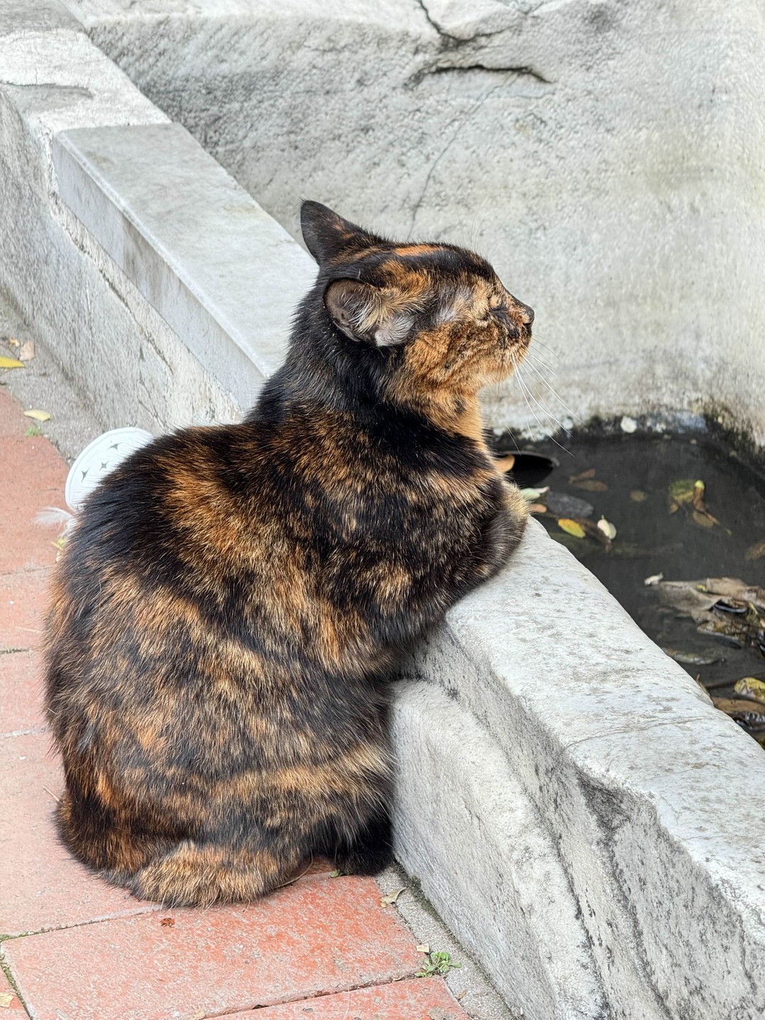 Добрый день! При планировании поездки в Стамбул искал экскурсию, которая позволит сформировать общее понимание и представление