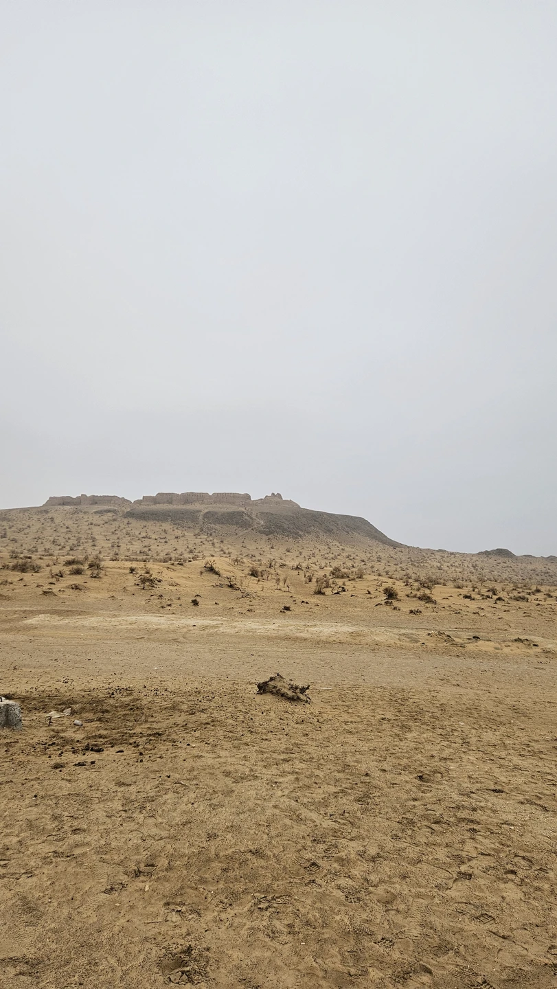 Экскурсия понравилась всем участникам! Раджаб рассказывает интересно и познавательно, информация легко запоминается. Даже несмотря на то