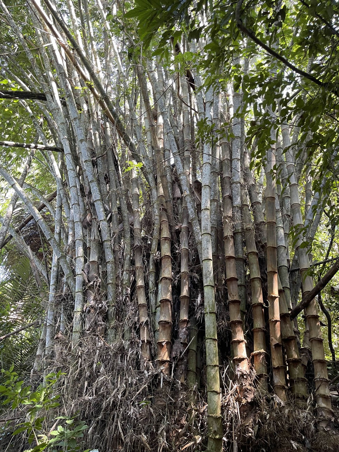 Вернулись с экскурсии сегодня. Хотим поблагодарить Николая за бодрящий треккинг и удивительные места, в которые сами