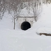 Фото отзыва 3: экскурсия "Мицульский хребет: поездка на снегоходах"