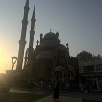 reviews img