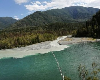 Свободный день