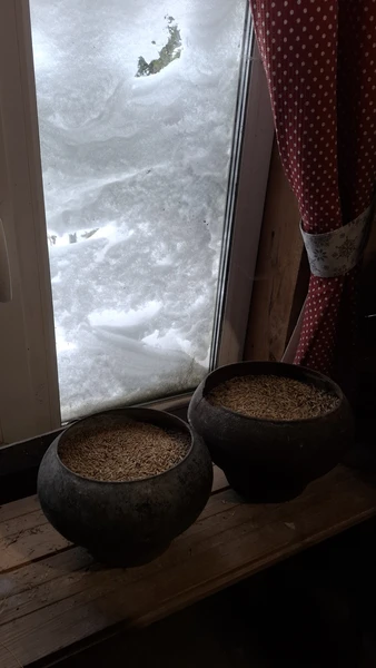 Необычный мастер класс с погружением в историю приготовления муки из зерна! У стен старинного монастыря на