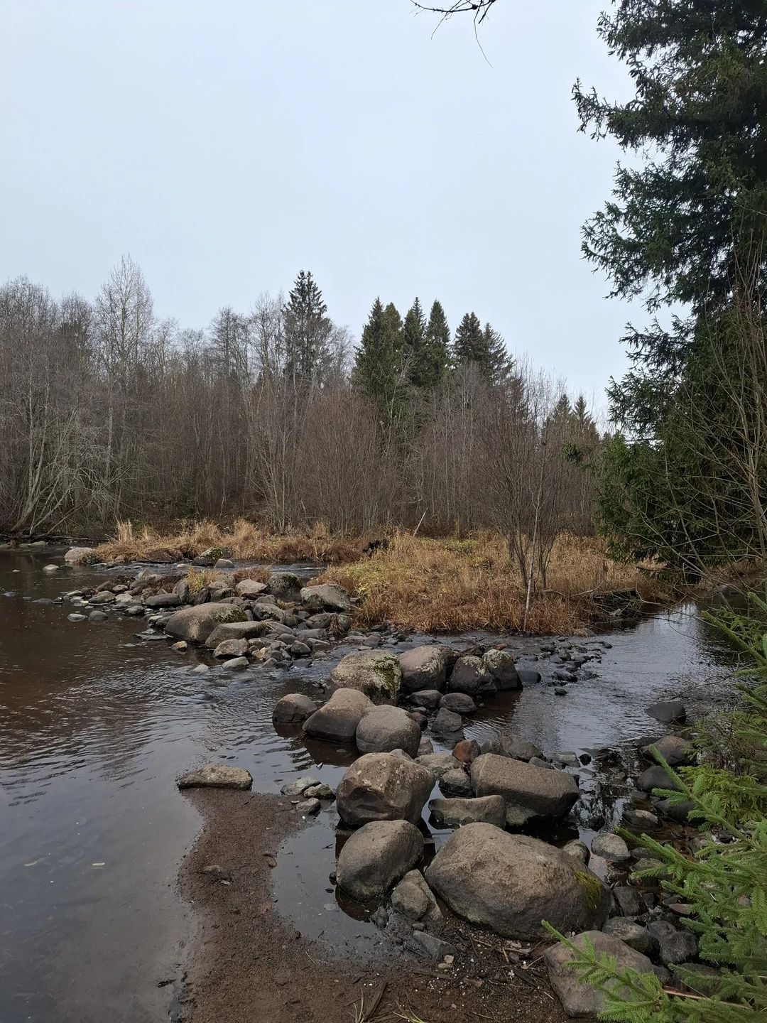 Карелия заповедная: прогулка по экотропе (Олег)