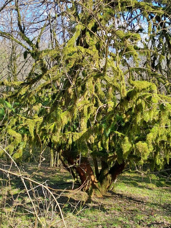 Фото отзыва 2: экскурсия "Треккинг по дну каньона в окрестностях Адлера"