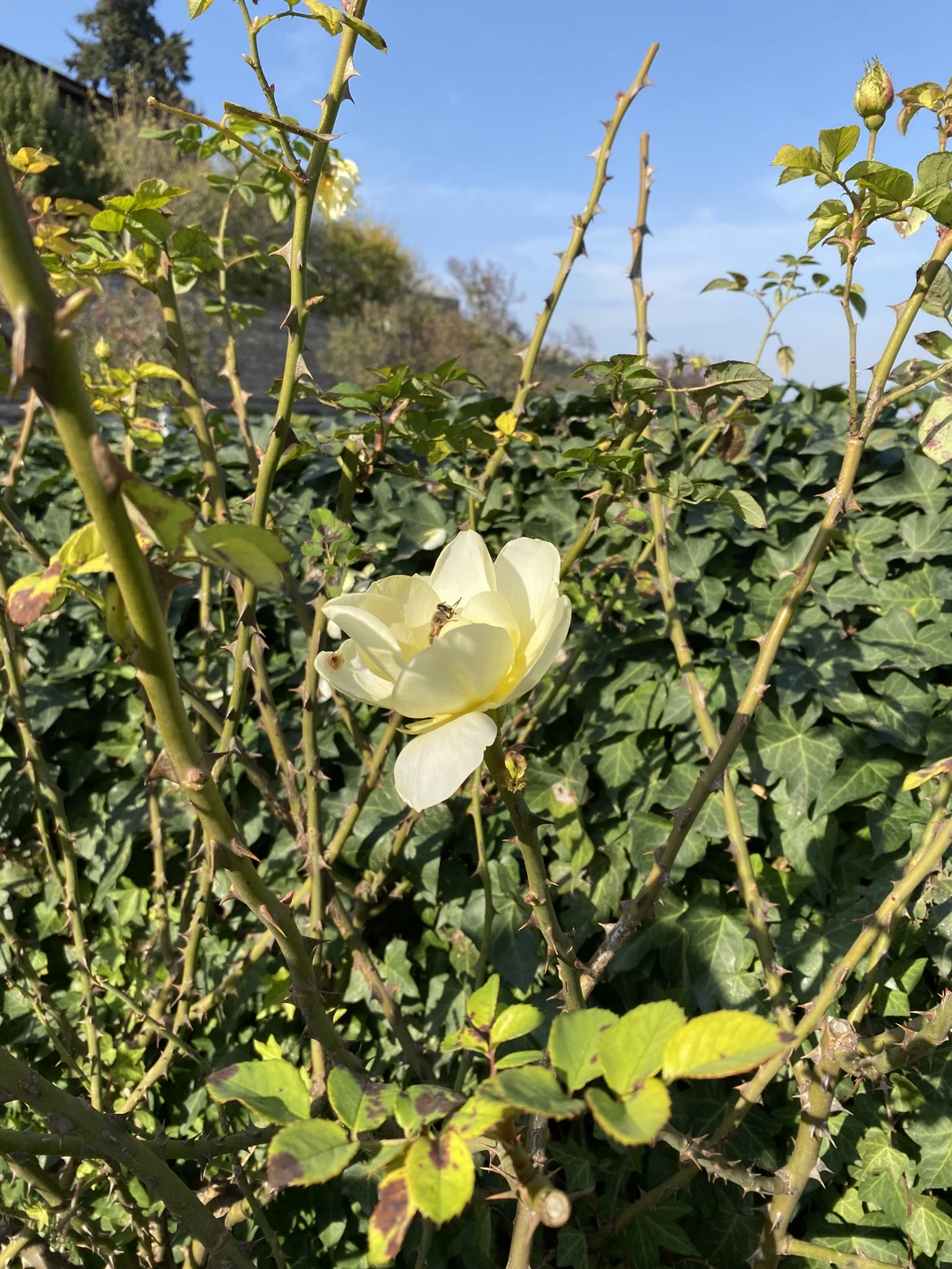 Хорошая экскурсия) 13 часов пролетели незаметно, хотя по наполненности видами, вкусами и ощущениями будто несколько дней