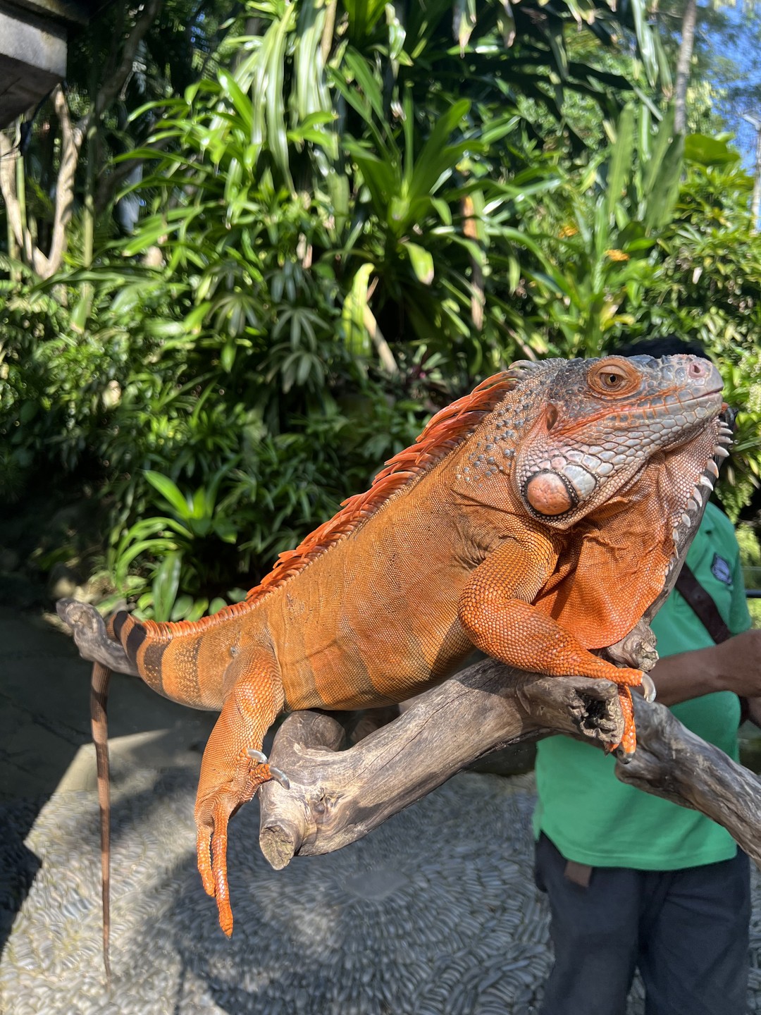 Было все прекрасно организовано, веселый и приятный гид! Нам очень понравился!