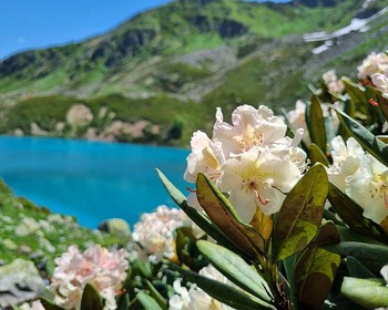 Софийские озёра