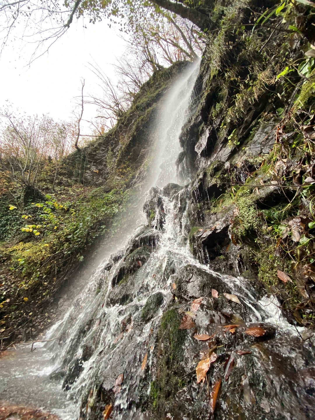 Да кто я такая, чтобы в чем-то себе отказывать?