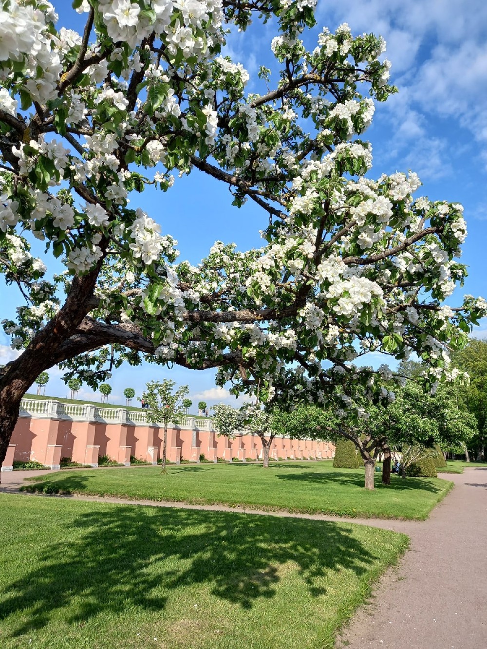 Фото Два знаменитых парка Петергофа за 1 день
