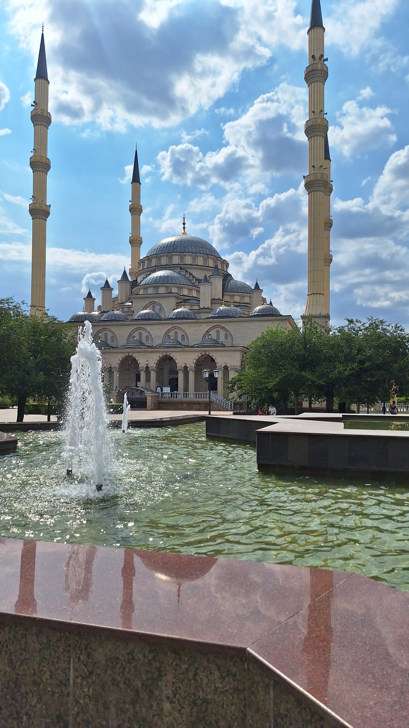 Грозный - история и современность (Роман)