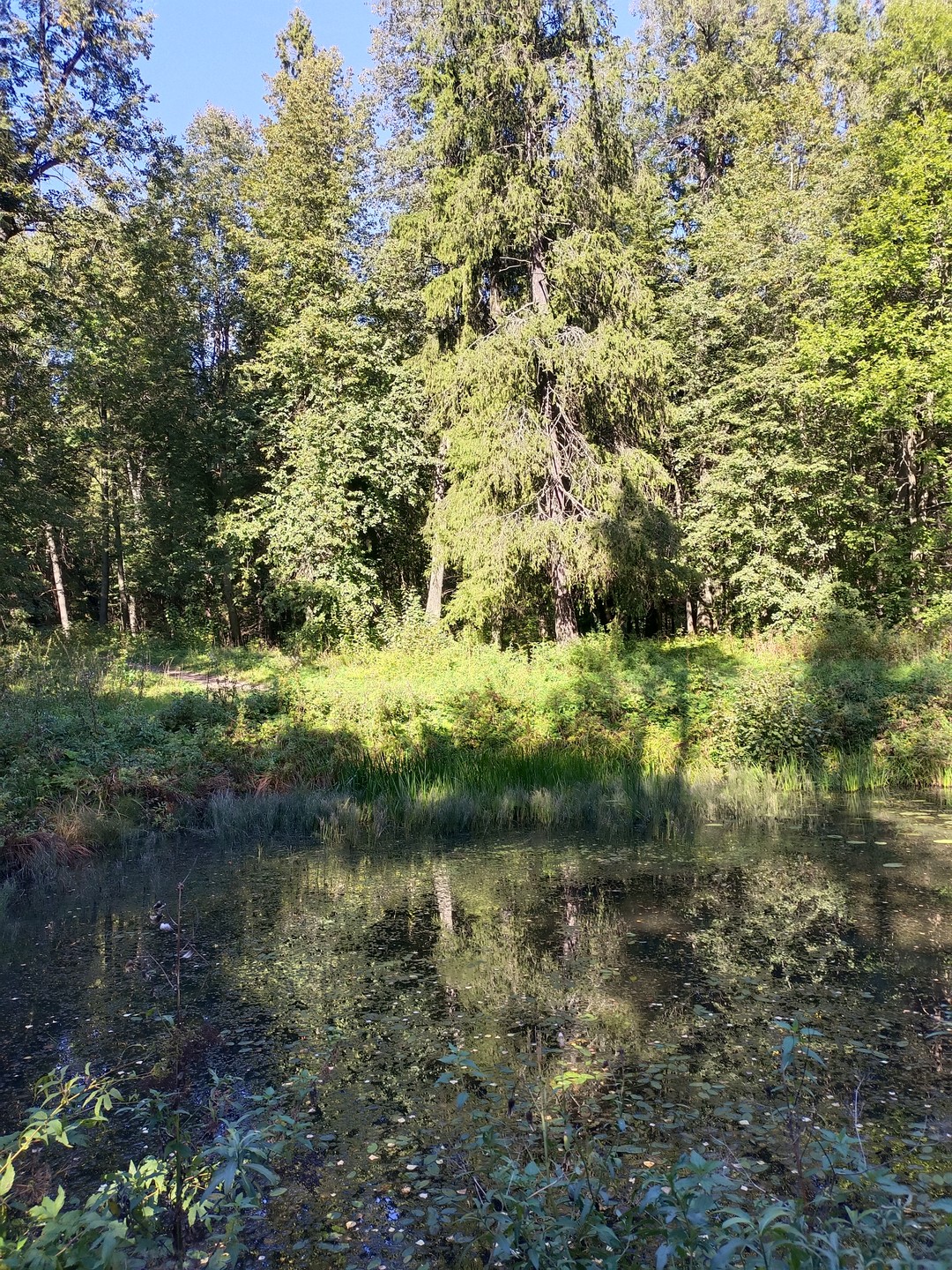 Мария, спасибо Вам за чудесный день и новые впечатления! Как будто побывала в сказке!