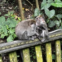 Фото отзыва 7: экскурсия "Влюбиться в&nbsp;волшебный Бали за&nbsp;1 день"