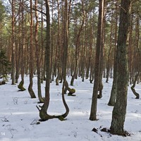 Фото отзыва 3: экскурсия ""