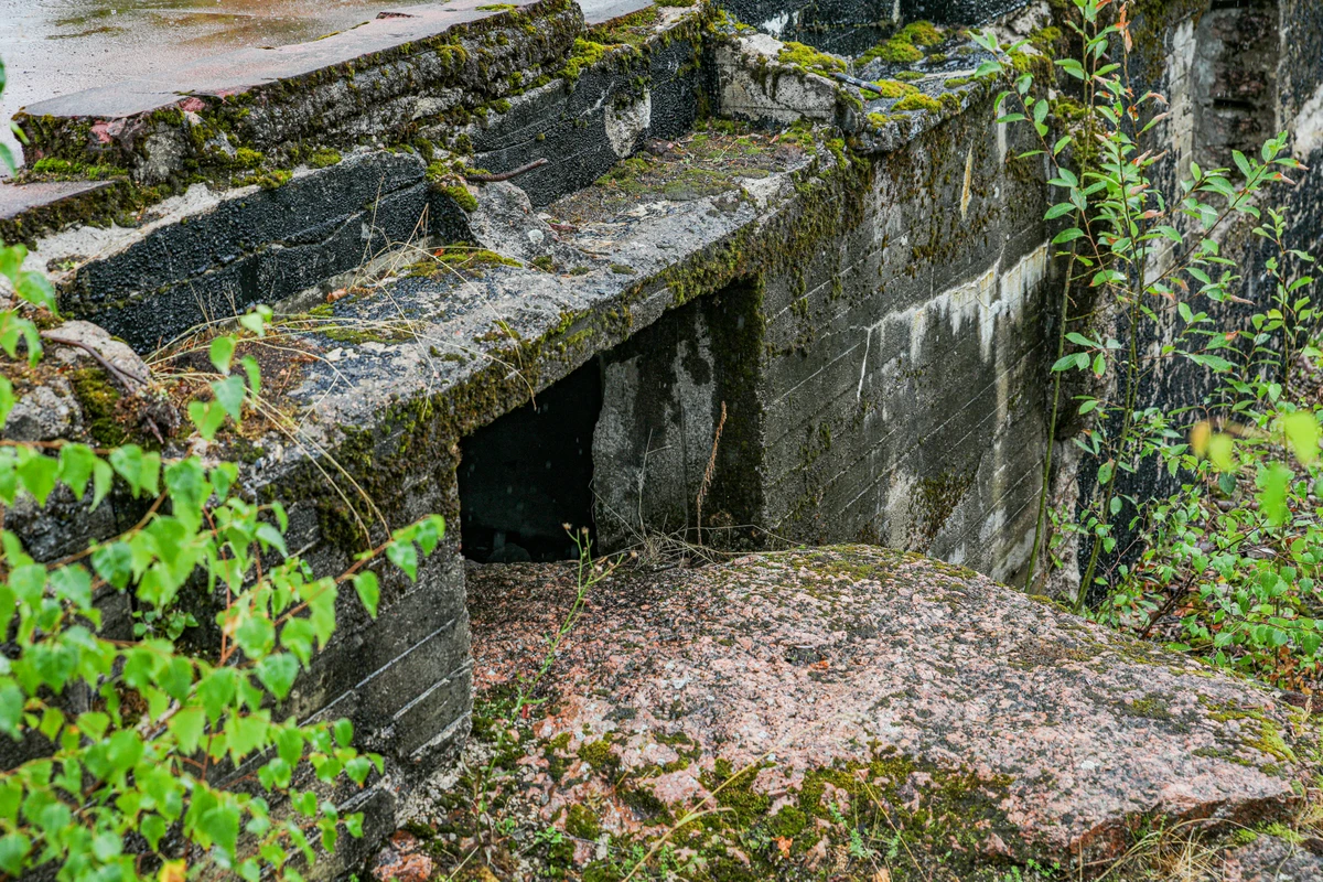 Автомобильный экотур «По следам забытой Финляндии» (12/25)