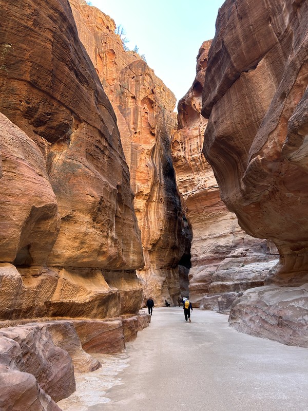 Экскурсия по Петре и тайнам набатейской цивилизации
