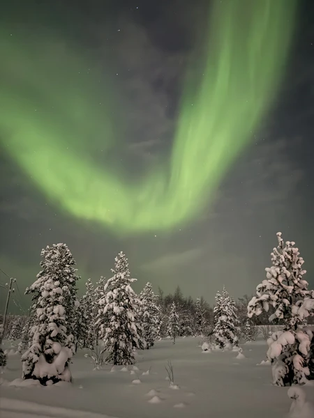 Ребята просто находка, шикарные. Мы ездили с Виталием. Отличный водитель, прекрасный рассказчик, потрясающий фотограф. Снял такое