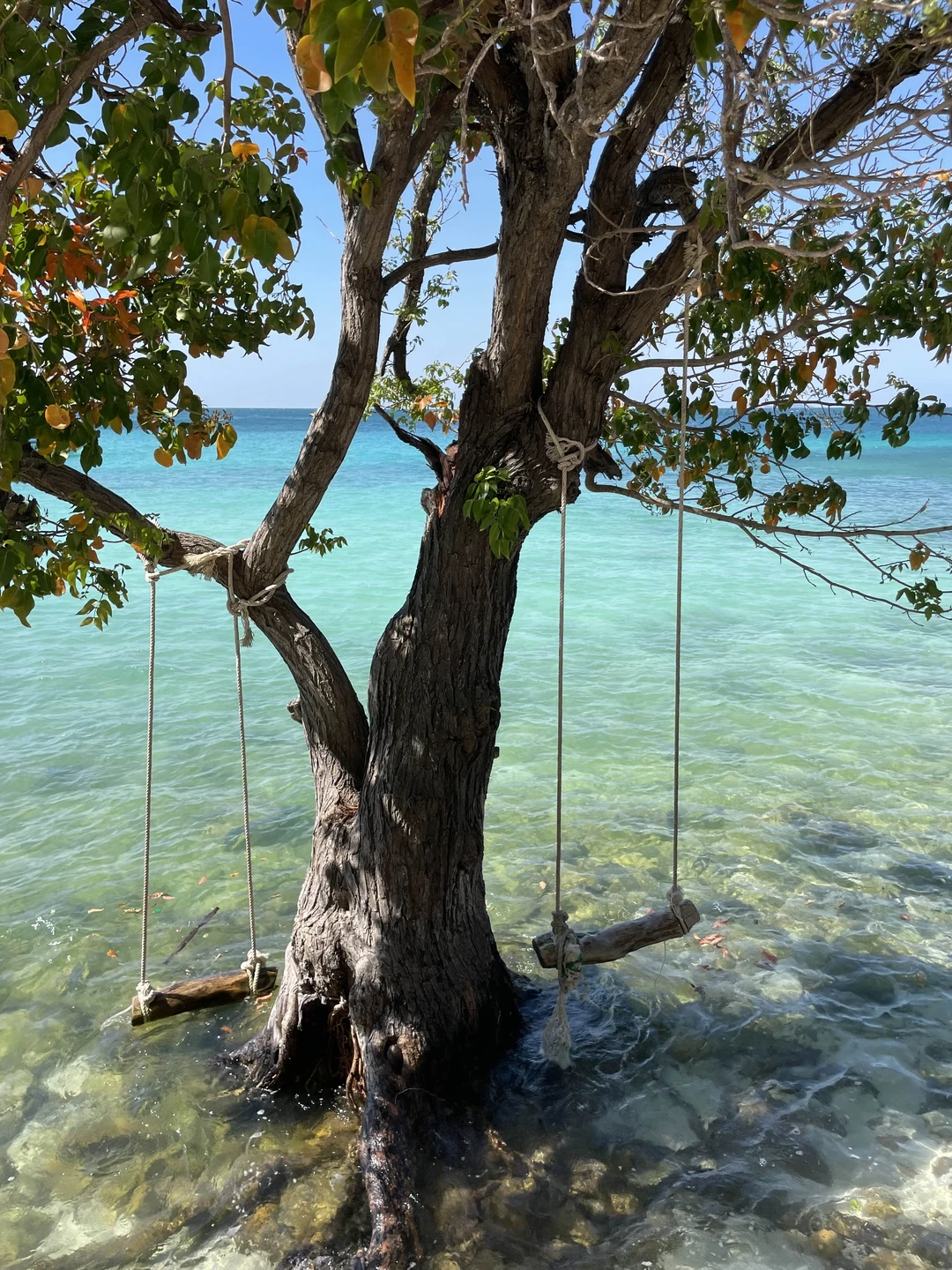 Удобная экскурсия из Бангкока для тех, кто хочет позагорать, искупаться. Теплое море, белый песок остров Ко Лан