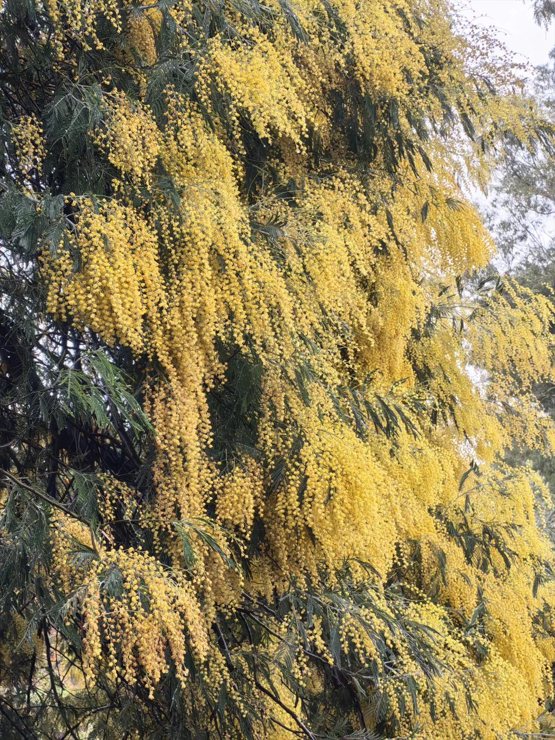 Всё было великолепно! От организации до информативности