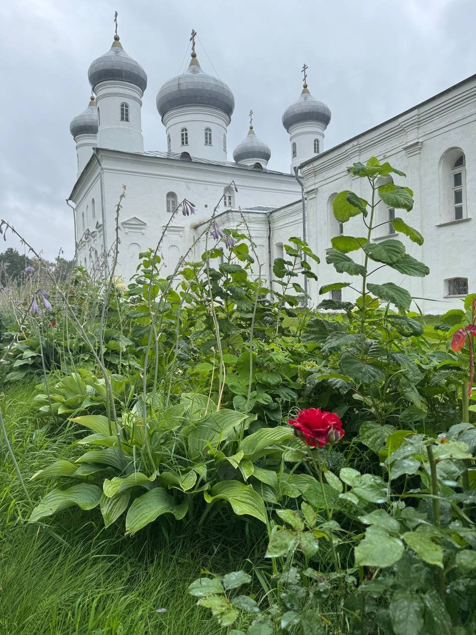 Древний Новгород, Великий Новгород (Мария)